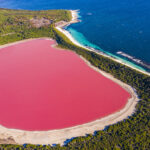 Pink lake aerial view on middle island surrounded blue ocean. Stark contrasting natural phenomenon in Western Australia.